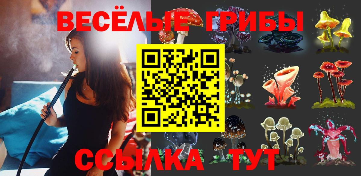 Шелехов  Псилоцибиновые грибы Psilocybine cubensis  Вход с VPN 