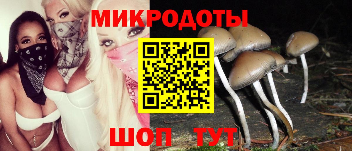 Галлюциногенные грибы Magic Shrooms Шелехов